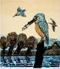 Grafiken von Werner Schinko
